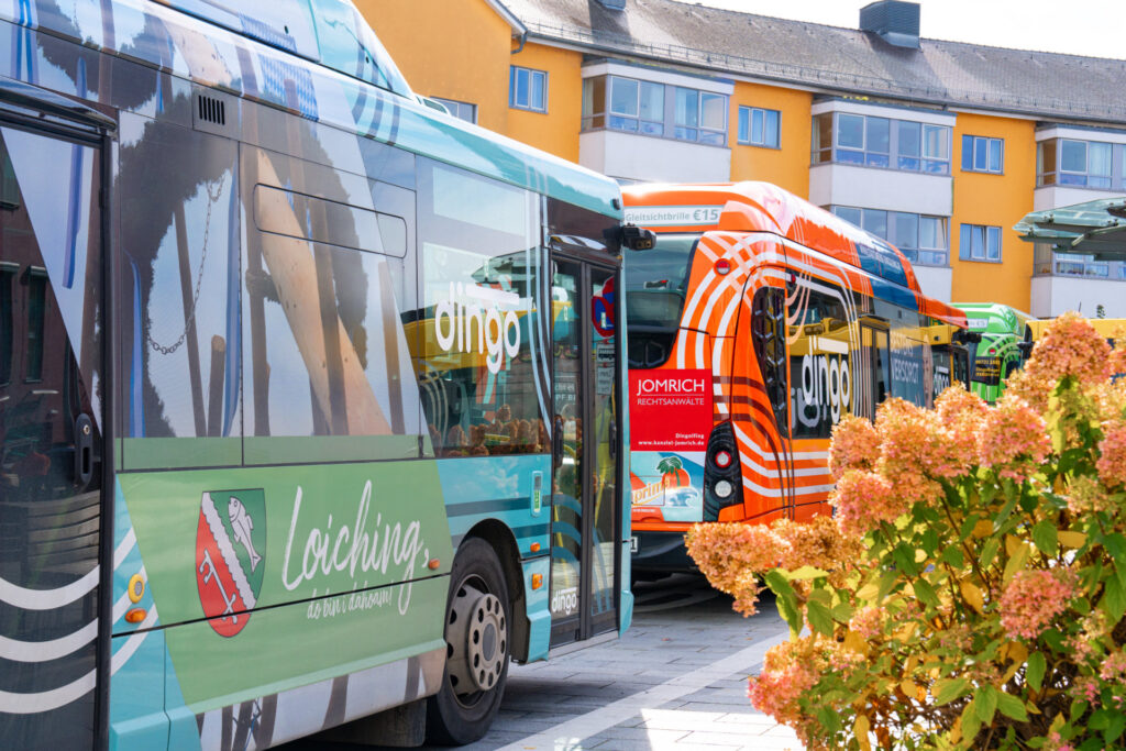 Nahaufnahme des türkisen und orangen Dingos am Spitalplatz in Dingolfing
