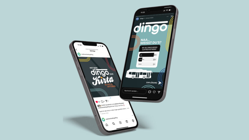Dingos Social Media Titelbild